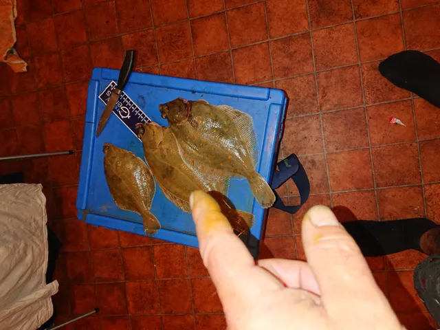 photo-1