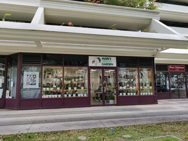 Mari’s Urban Garden