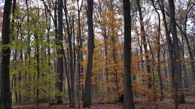 Martic Township Park