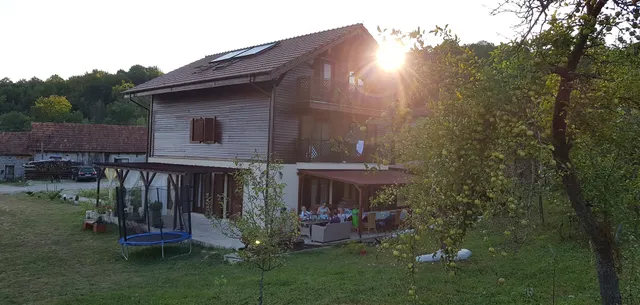 Pensiunea Dorel Codoban