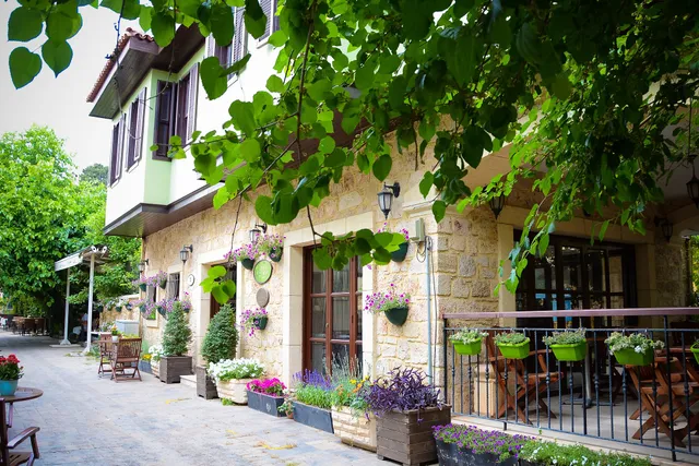 Villa Verde Cafe & Hostel