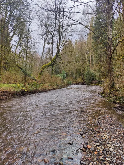 Upper Coal Creek Trail West Trailhead