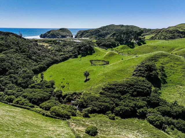 Cape Farewell track