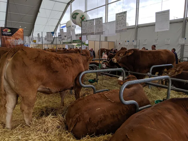 Grande Halle d'Auvergne