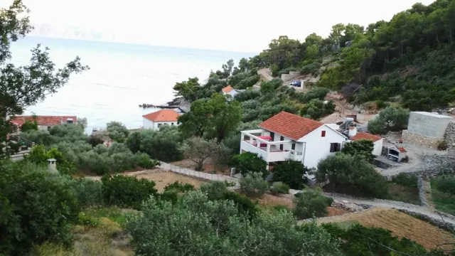 Lantana Robinson Hvar