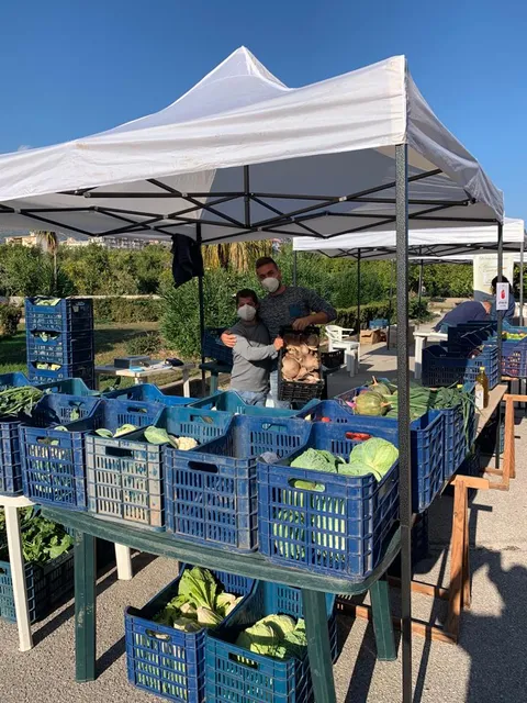 Le Campagne di Villa Castelnuovo