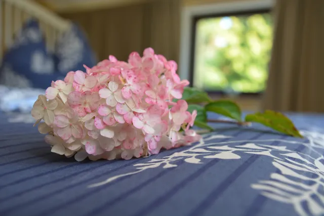 Ferienwohnung Arnold