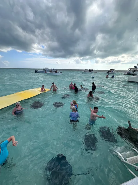 Stingray Sailing