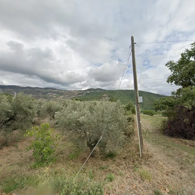 AGRITURISMO "La Collina Degli Ulivi"