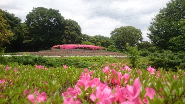 Chiba City Furusato Farm