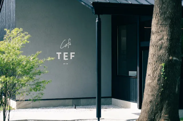 Café TEF