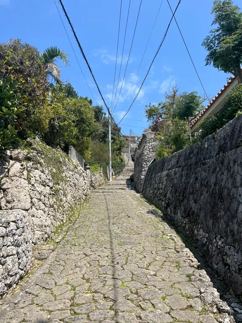 photo-1