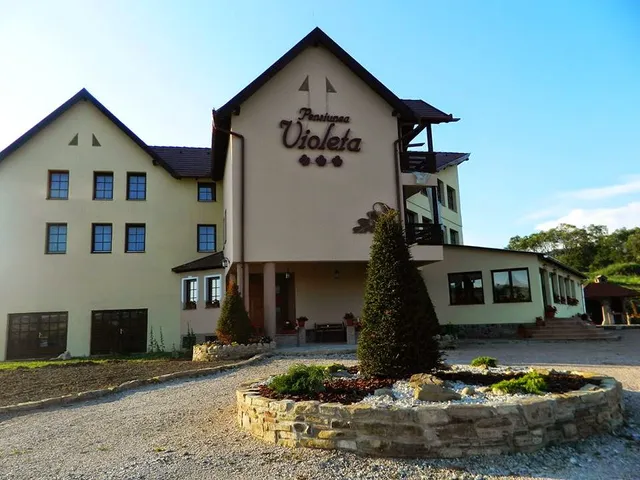 Pensiunea Violeta