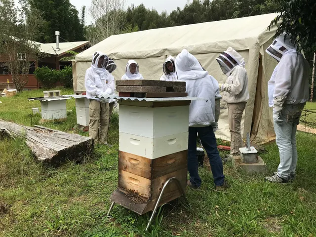 Bird and Bee Hawaii, LLC