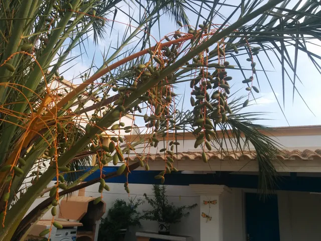 Apartaments Can Pep de n'Agustí