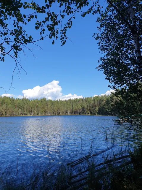 Velomarshrut V Prirodnom Zakaznike "Gryada Vyaryamyansel'kya"