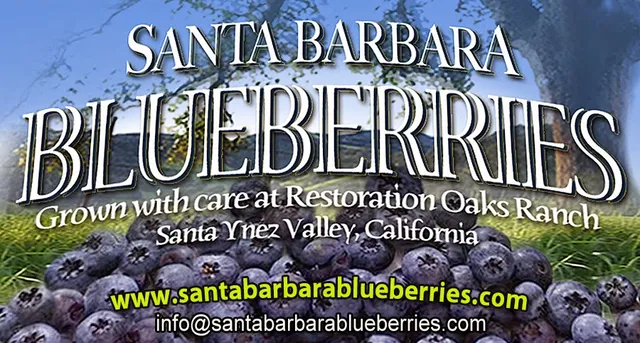Santa Barbara Blueberries