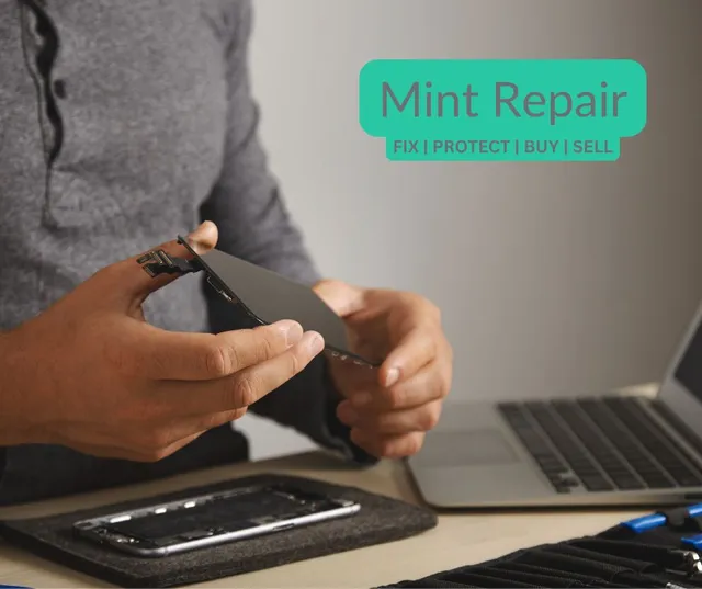 Mint Repair