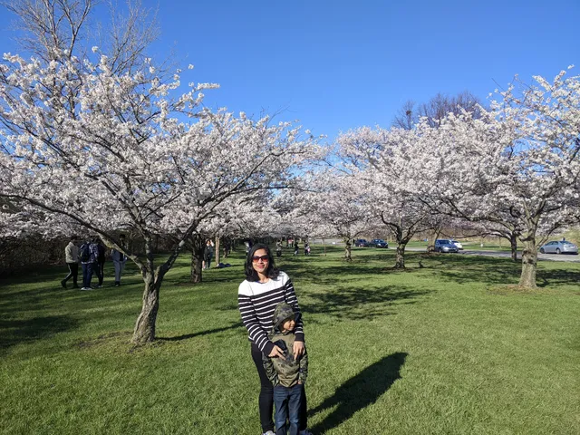 Cleveland Metroparks Meadow Ridge Picnic Area