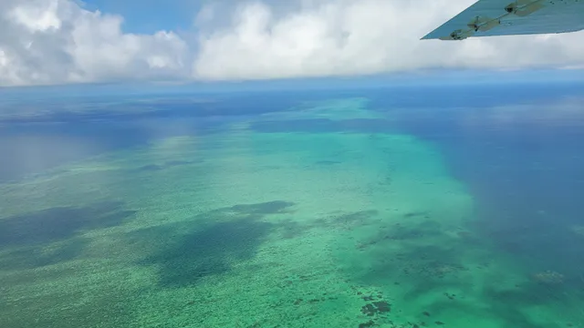 Great Barrier Reef & Green Island Tours