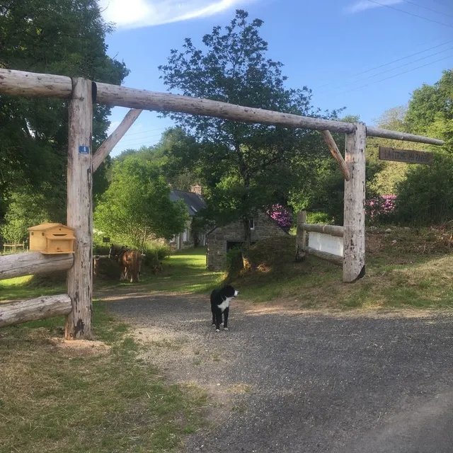 Ferme Ma Zadoù ; Slow Et Écotourisme : Ateliers Pains & Pizzas, Balades In Carriage ; Course Initiation Traction Animale
