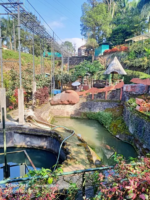 Royal Stream Wayanad/Kerala resort/wayanad resort/wayanad home stay/family resort/kids friendly/natural stream/Kerala