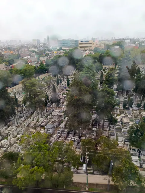 Los Pinos Constituyentes