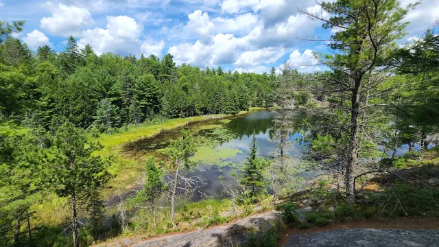 Petroglyphs Provincial Park