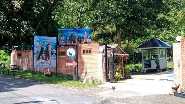 Splash Cafe and Restaurant Phuket