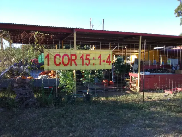 Mills Roadside Vegs.