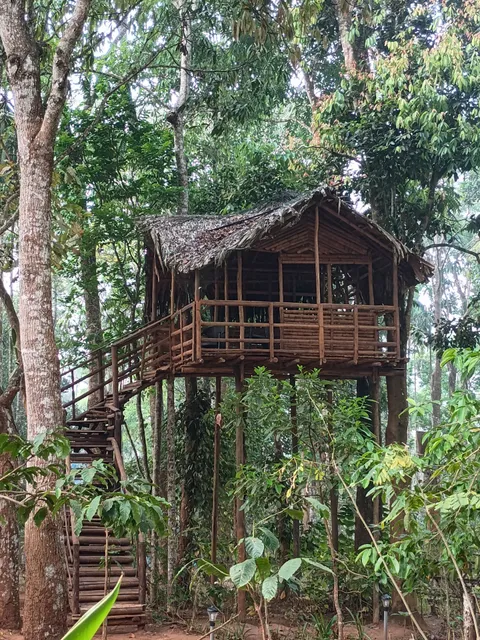 TreeSong Villa