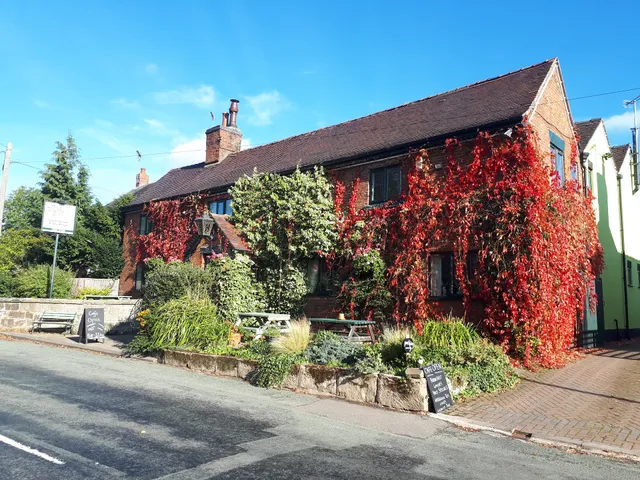 Olive Tree Stramshall