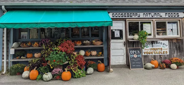 Gooseberry Natural Foods