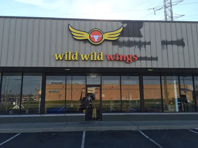 Wild Wild Wings