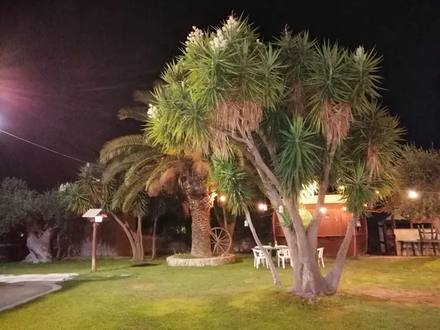 photo-1
