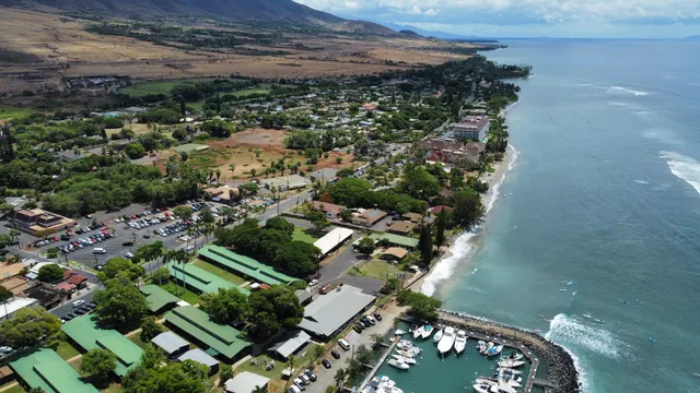 Lahaina Harbor
