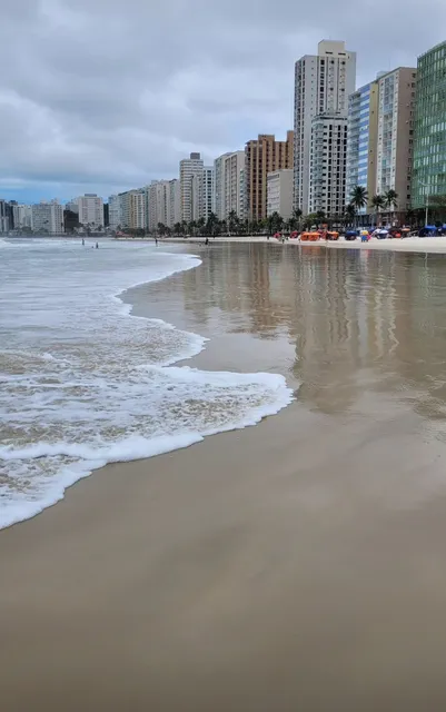 Kit Pitangueiras Guarujá