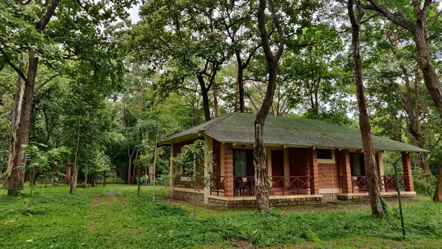 Jungle Lodges and Resorts - Dubare