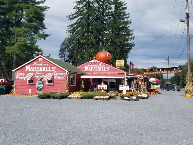 Marshall's Farm Market