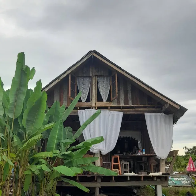 Bamboo Nest de Chiang Rai