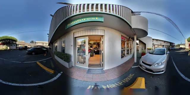 Rainforest Florals at Young St.