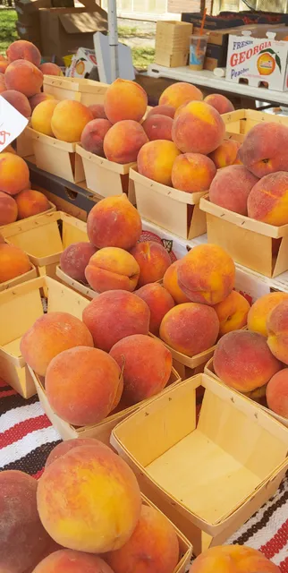 Independence Park Farmers Market