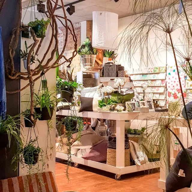 North Steyne Emporio