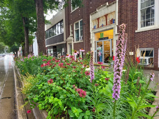 Bismarck Downtown Artist Cooperative