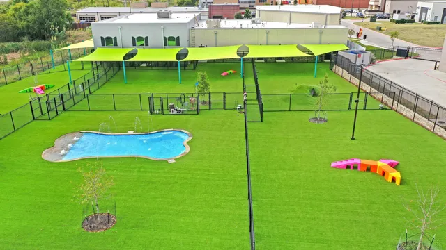 Paw Oasis Pet Resort