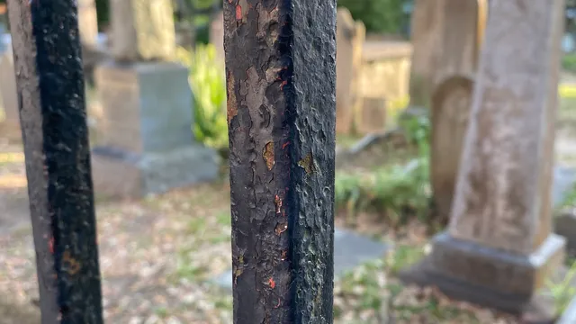 Revolutionary Charleston Tours