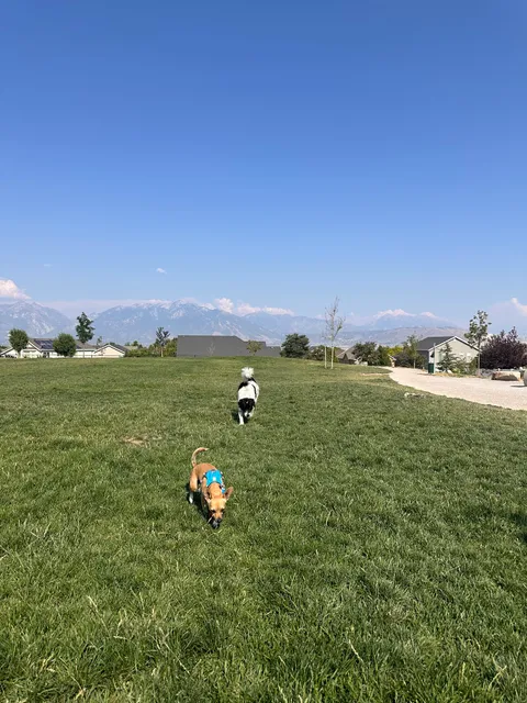 Herriman dog park