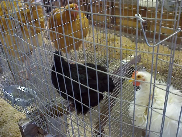 Union County Fairgrounds