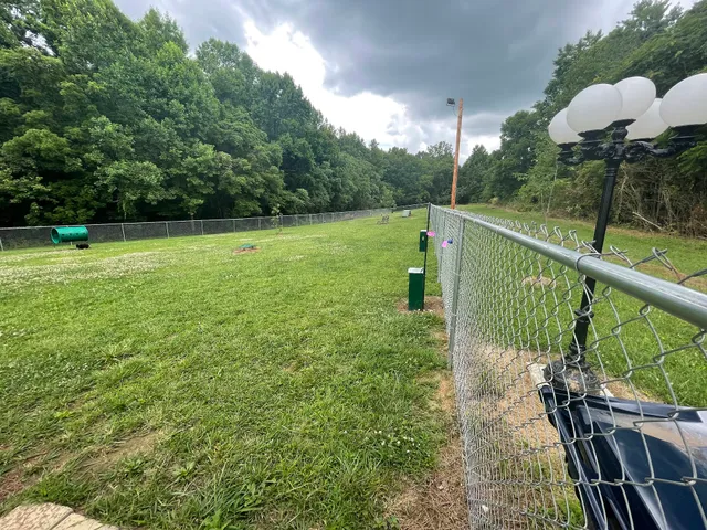 Central Bark Dog Park