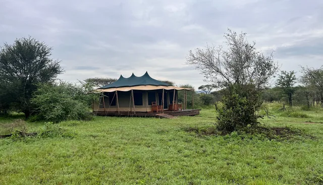 Into Wild Africa Luxury Tented Safari Camp Serengeti